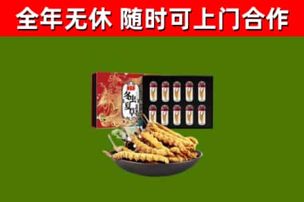下陆回收冬虫夏草价格