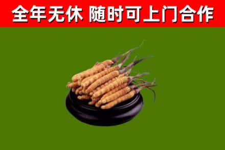 下陆回收散虫草
