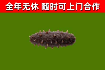 下陆烟酒回收干海参.jpg