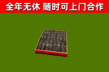 下陆回收海参